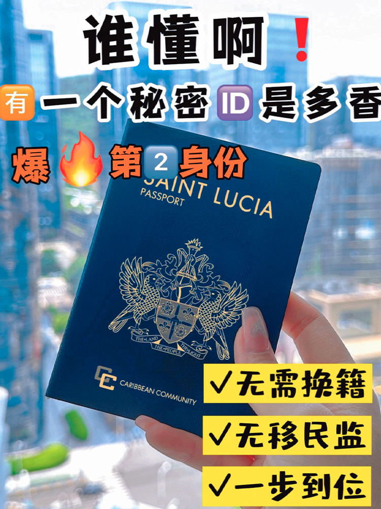 圣卢西亚护照，你拥有一个㊙️双🆔有多香!